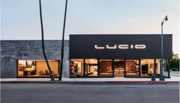 The front of the Lucid Studio with 2 palm trees.