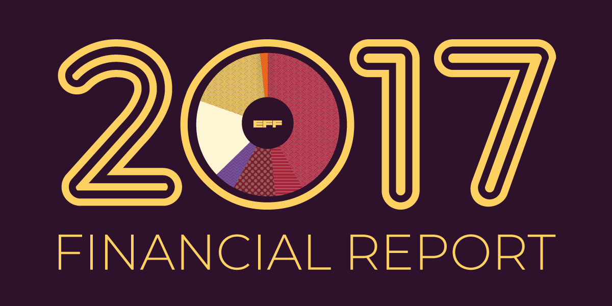 2017 Financial Report