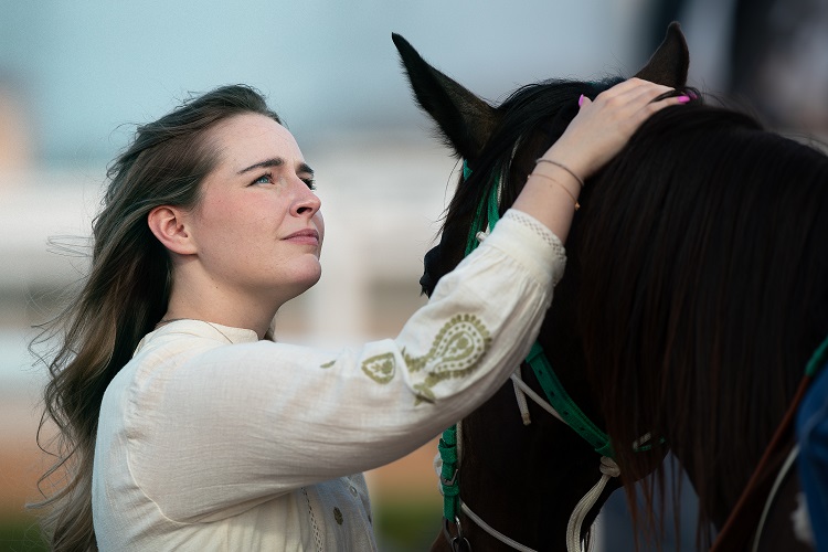 أماكن مشاهدة الخيل