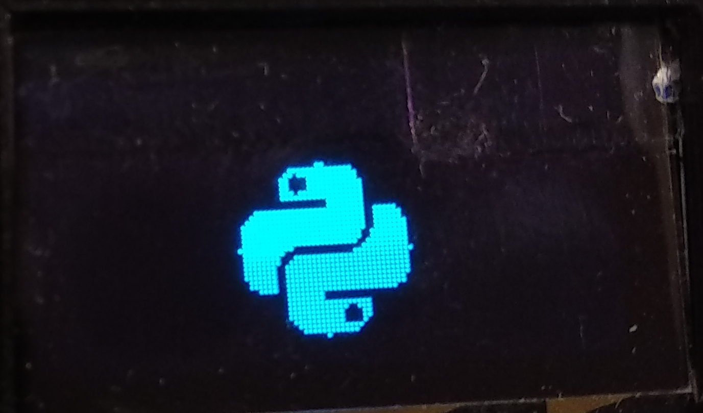Python logo on display