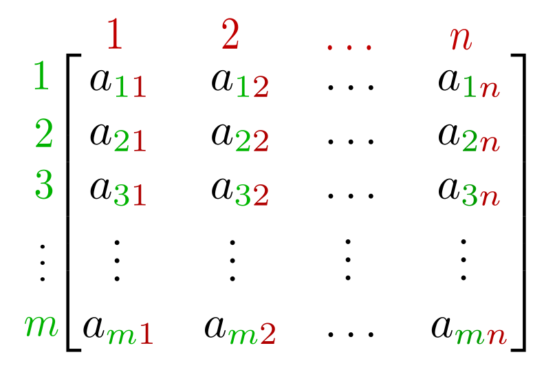 An m 脳 n matrix