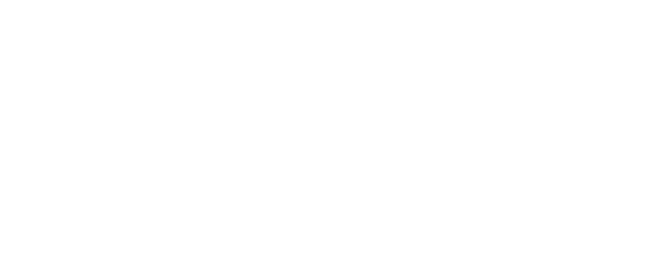Logo 9