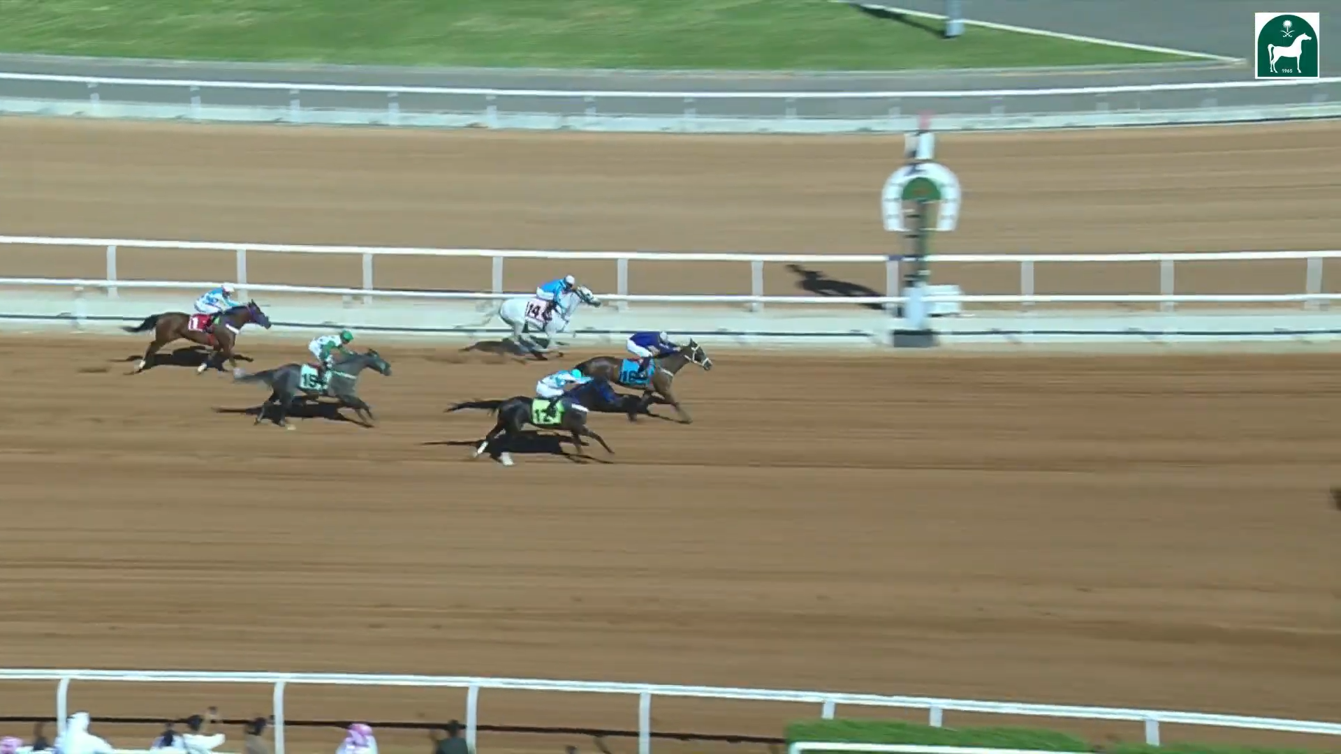 ( Race 1 ) الحفل 1 الجمعة 25 يوليو 2025