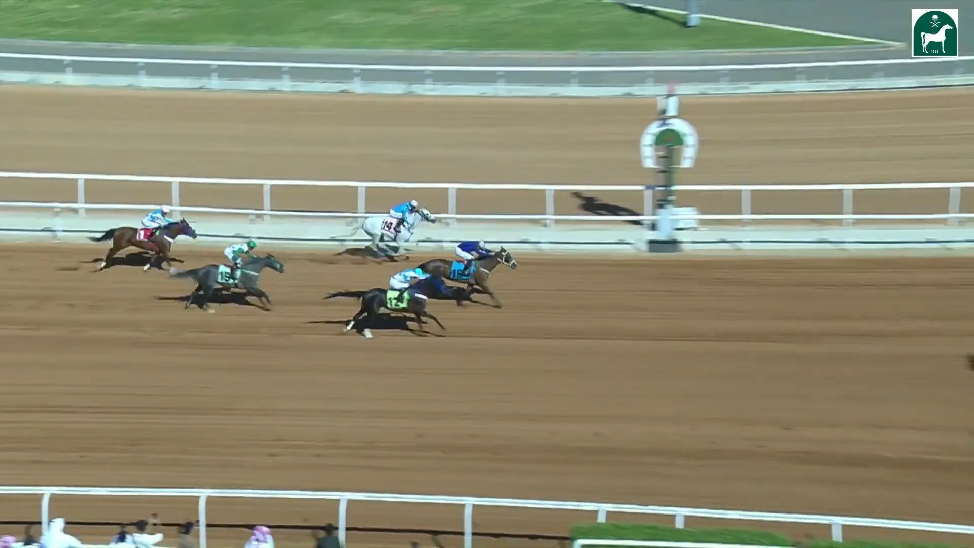 ( Race 1 ) الحفل 1 الجمعة 25 يوليو 2025