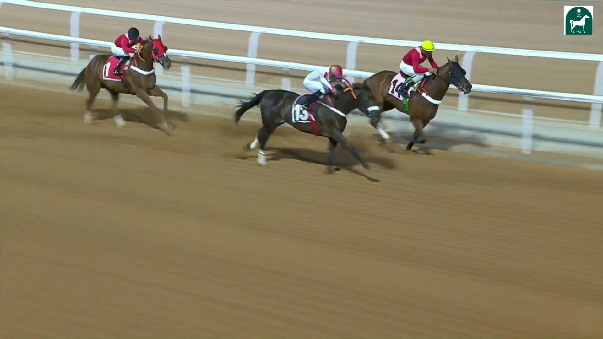 Race 10