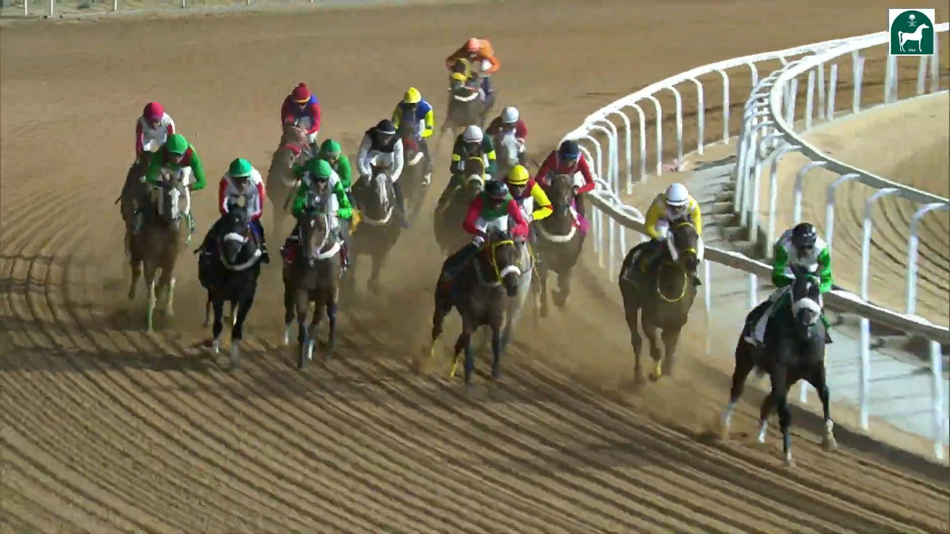 Race 9