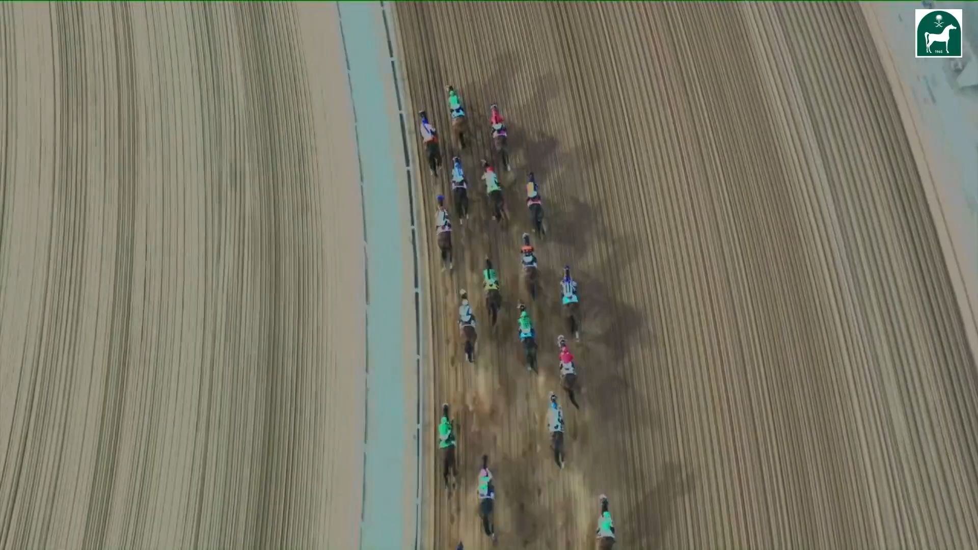 Race 8