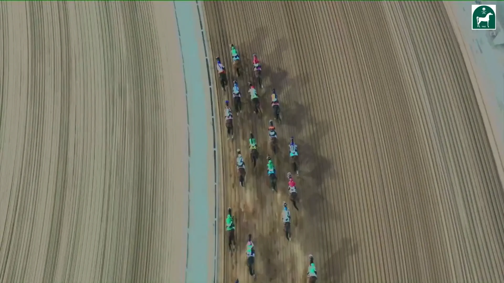Race 8