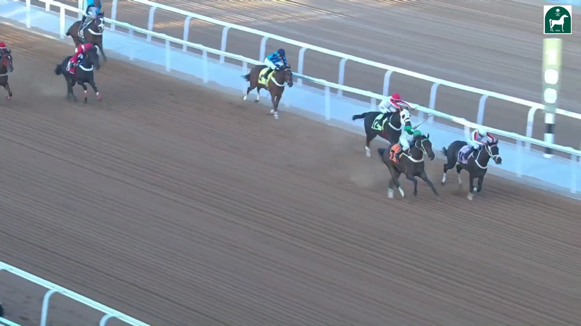 Race 7