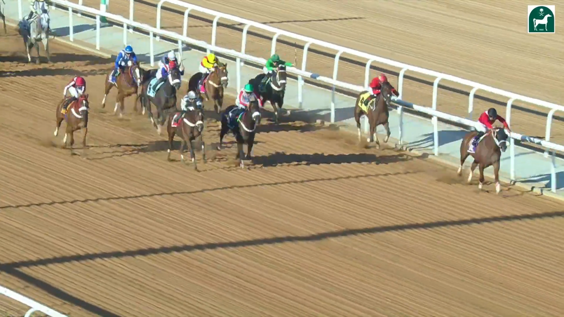 Race 5
