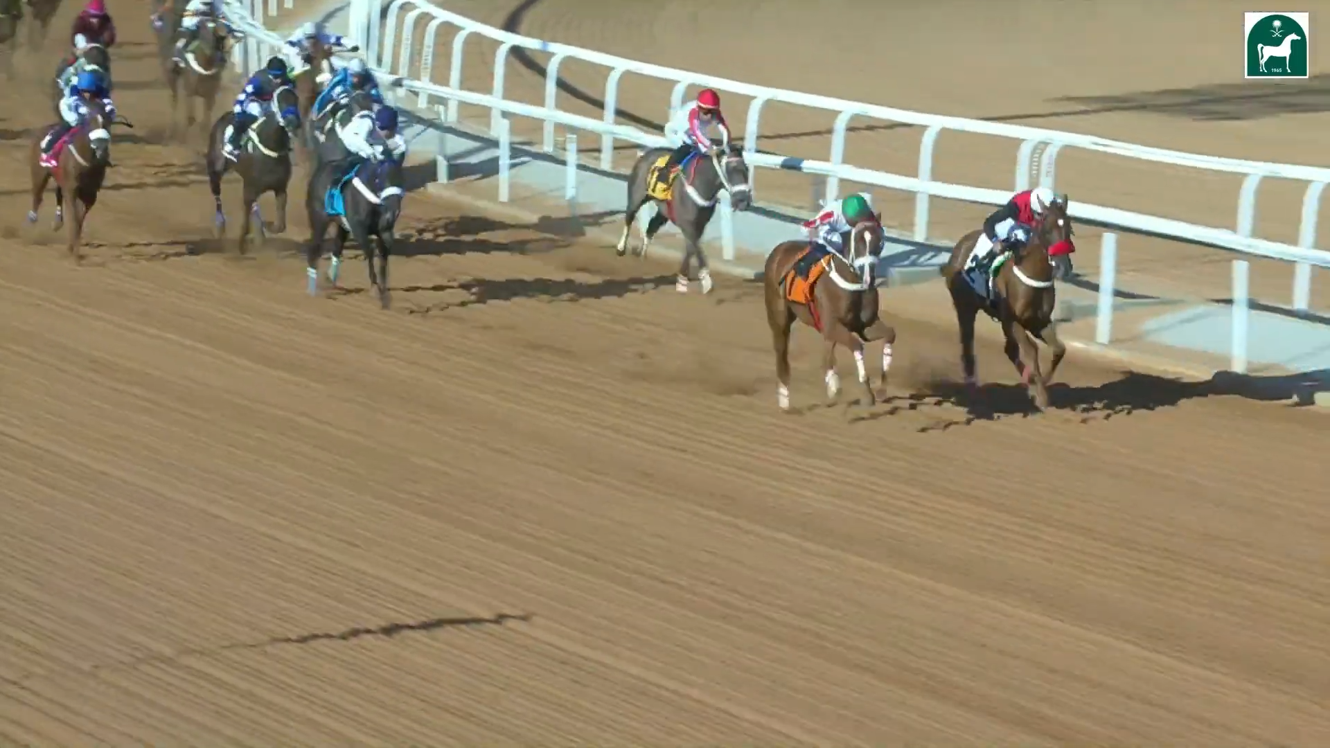 ( Race 4 ) الحفل 1 الجمعة 25 يوليو 2025