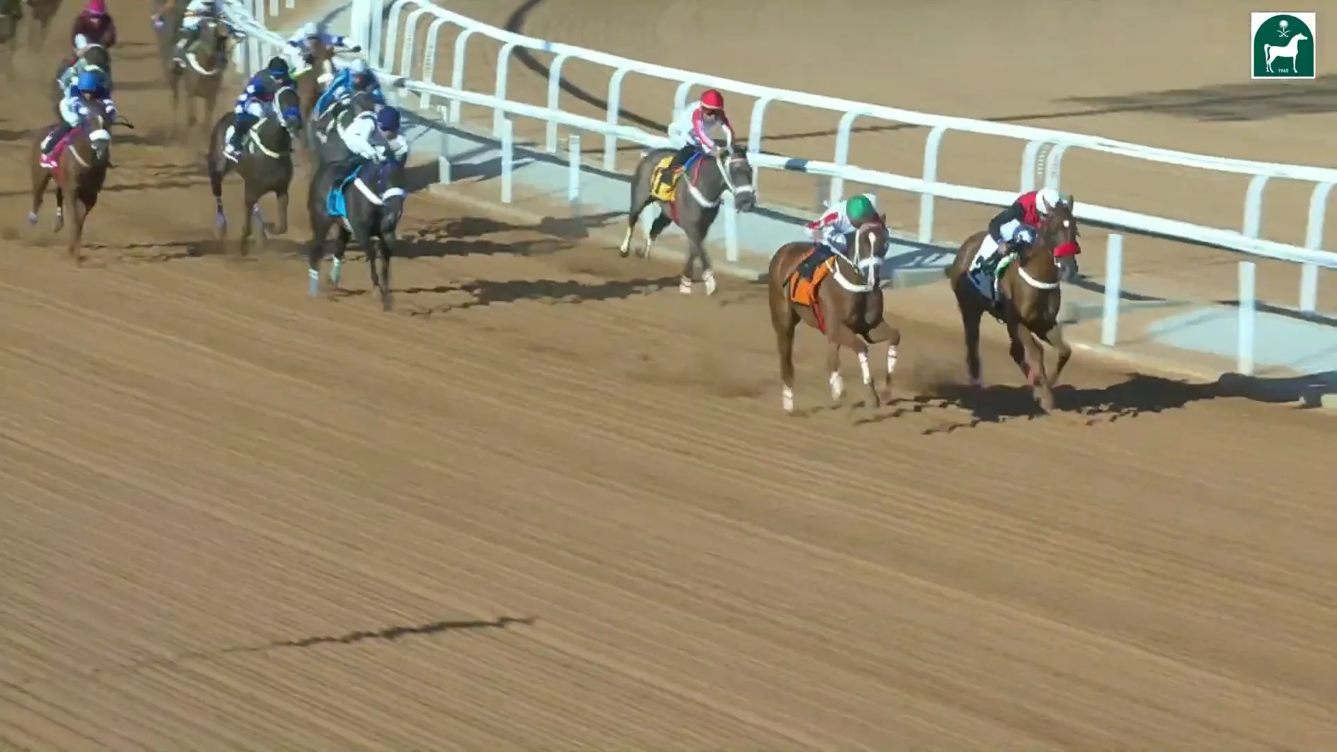 ( Race 4 ) الحفل 1 الجمعة 25 يوليو 2025