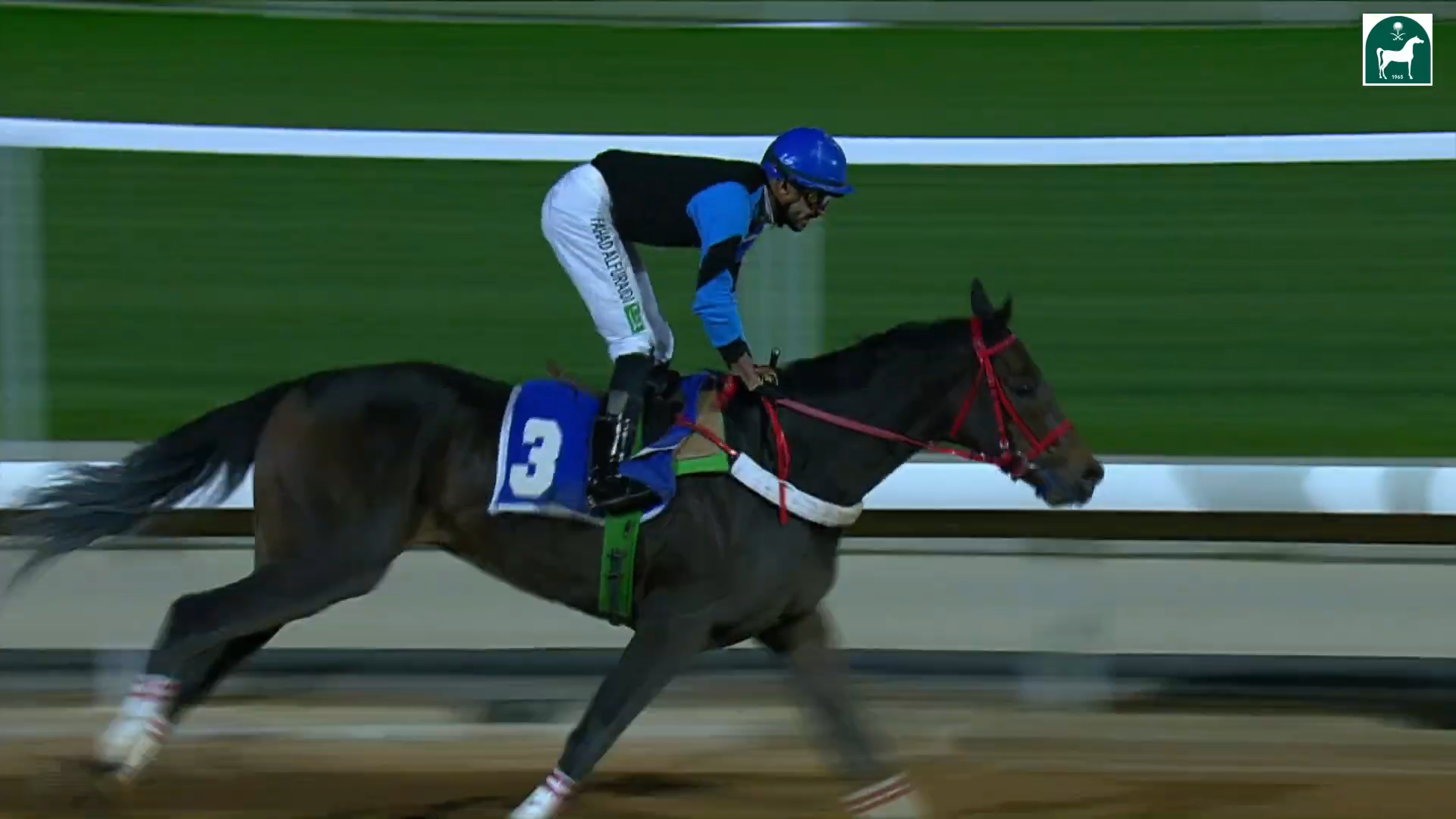 Race 10