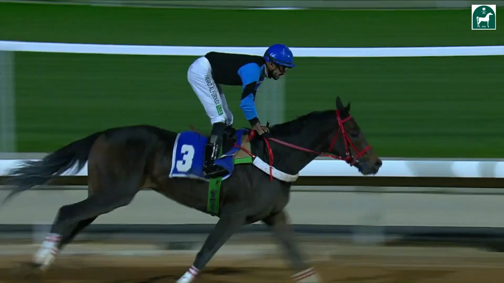 Race 10