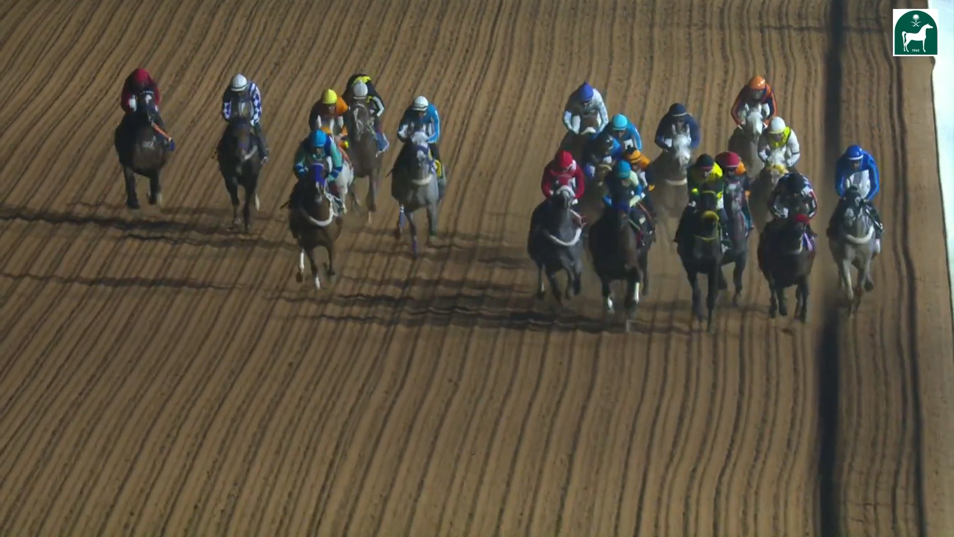 Race 7