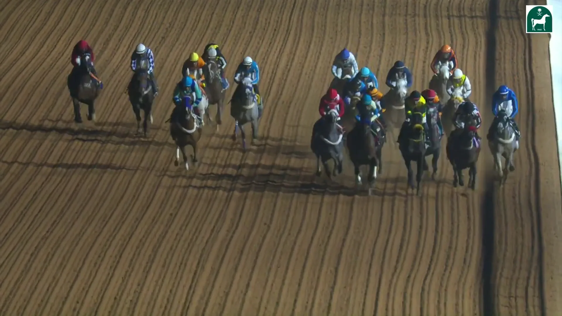 Race 7