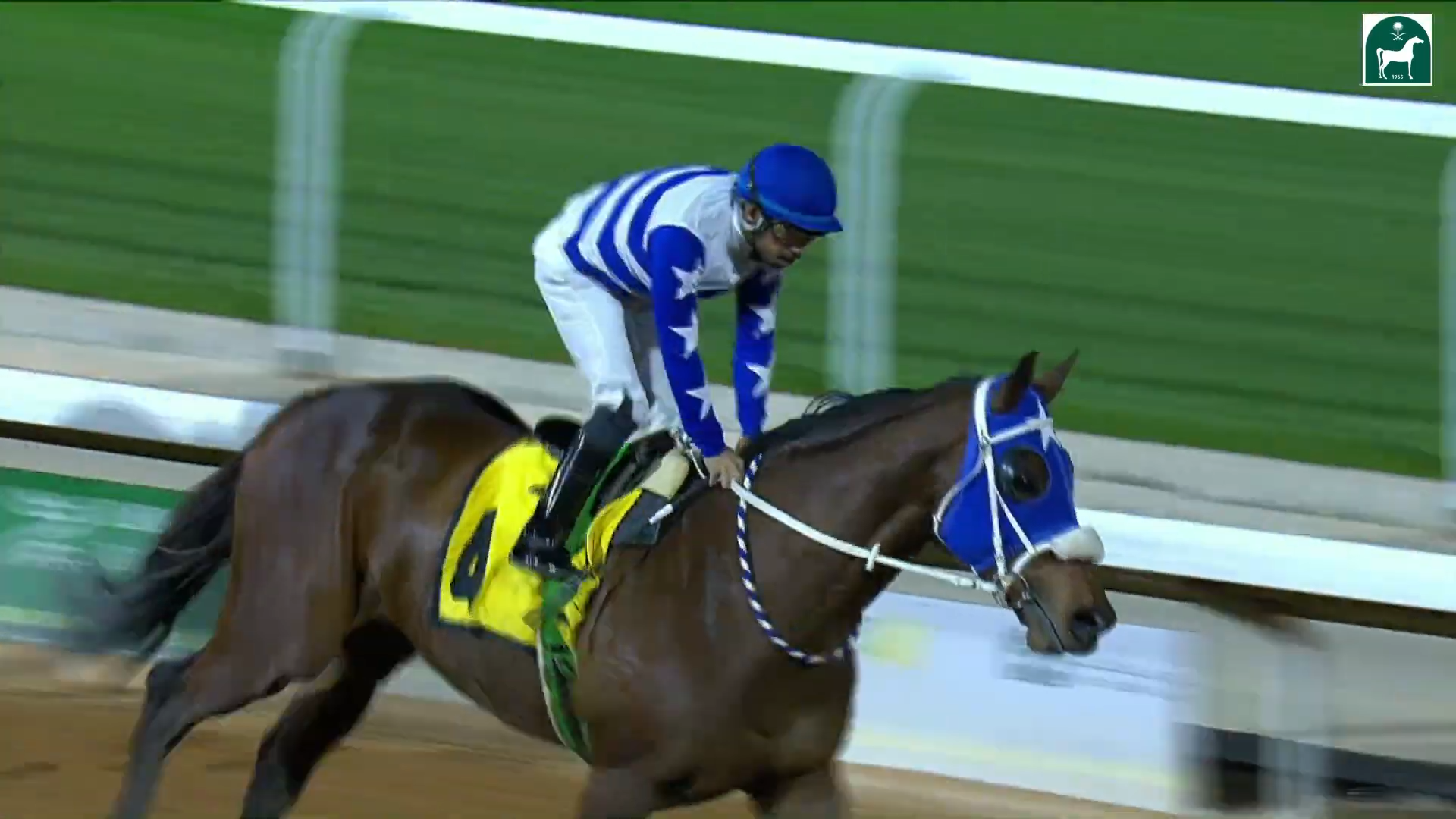 Race 11